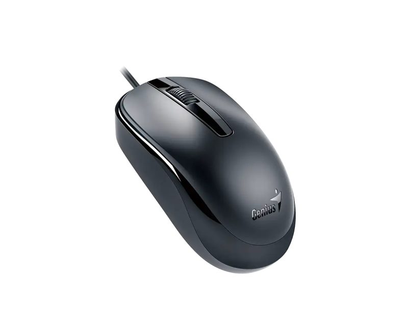 MIS02167_v GENIUS DX-120 USB-C Optical crni miš